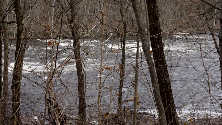 a view of flooding river through trees