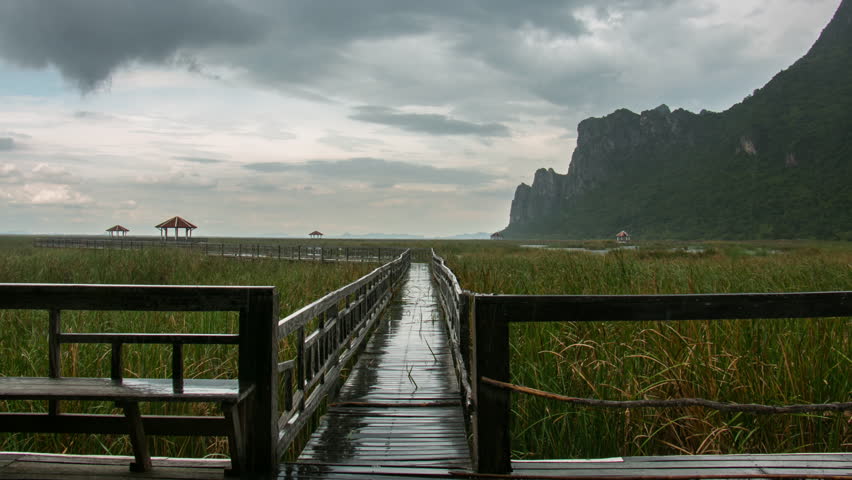 Wooden bridge and water pavilion.