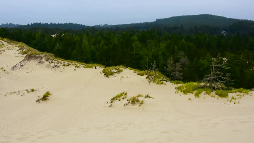 Sand dunes, North Bend, Oregon