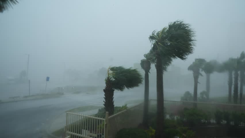 Hurricane Michael Eyewall Winds Royalty-Free Stock Footage #1024581350