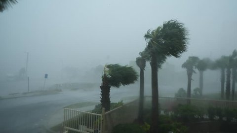 Hurricane Michael Eyewall Winds