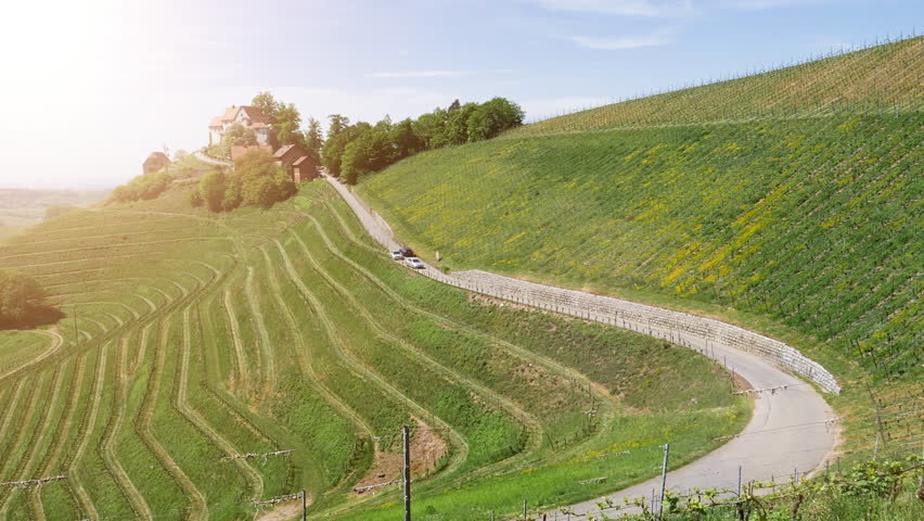 Burg Schloss Staufenberg castle in Baden Wurttemberg village - elevated still drone view with cars on the serpentine road over the winery roads