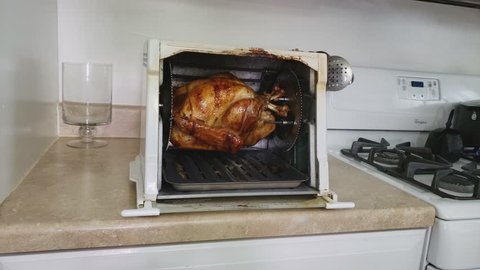 Home cooking - Removing fresh roasted Small Turkey from electric counter top rotisserie after cooking it for more than one and a half hour.
