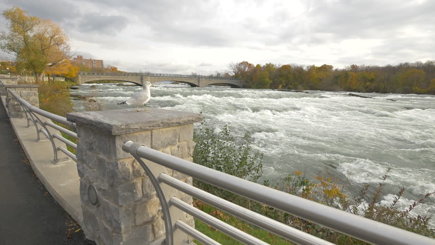 The Goat Island Road Bridge over Niagara River in Niagara Falls, USA
