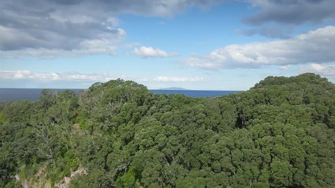 Aerial: Rocky coastline and pohutukawa trees in the Coromandel Peninsula. Onemana, New Zealand. 