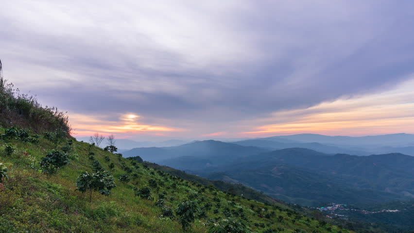 Time lapse of sunset and flowing clouds panoramic view with coffee tree at Chiang Rai province northern of Thailand | Shutterstock HD Video #1024618610