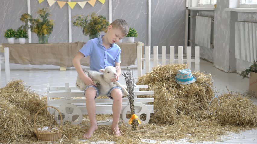 Boy Plays With A Goat