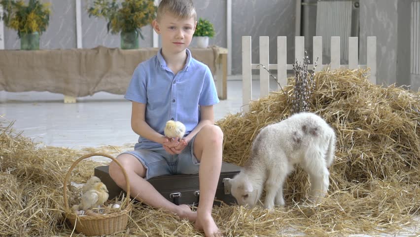 Boy Playing With A Young Goat