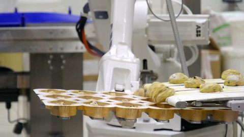 industrial robot machine in the biscuit factory and sweet cup cakes at Fico Eataly in Bologna, Italy, 19 Feb 2019