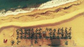 Sea waves, sand, beach and palm trees. Seascape aerial drone view.