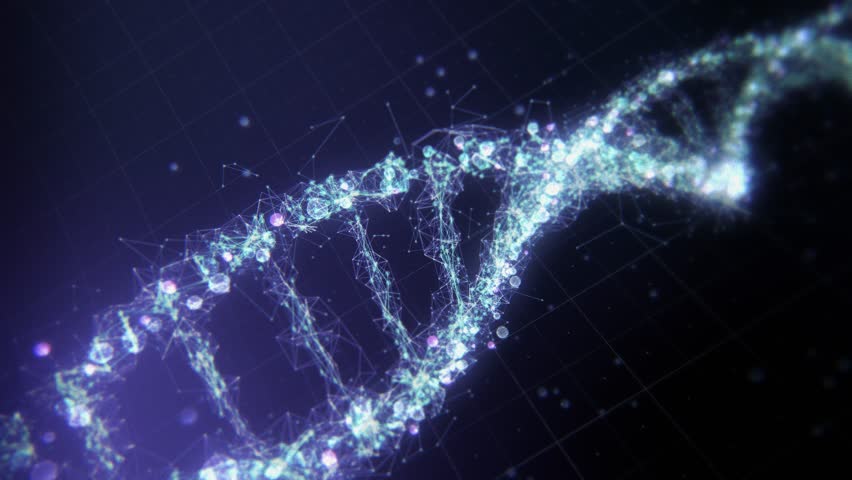 Abstract technological representation of digital plexus DNA molecule in blue. For biotechnology, chemistry, science, medicine and artificial intelligence. Seamless loop. Rotating DNA Strand Royalty-Free Stock Footage #1024634111