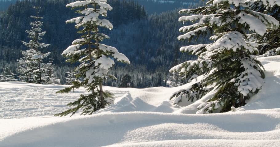 Fast Snowmobile Ride by in Sunny Winter Mountain Snow
