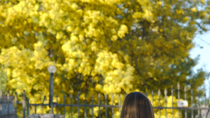 Spring coming!  woman raised hands against mimosa tree with flowers on blue sky and sunny day