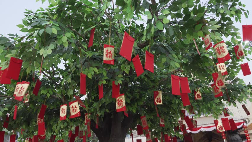 Chinese wishing tree, money tree and hong bao trees are a major part of Chinese New Year celebrations and other festival celebrations in many Asian countries. It