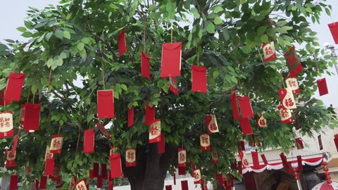 chinese new year money tree