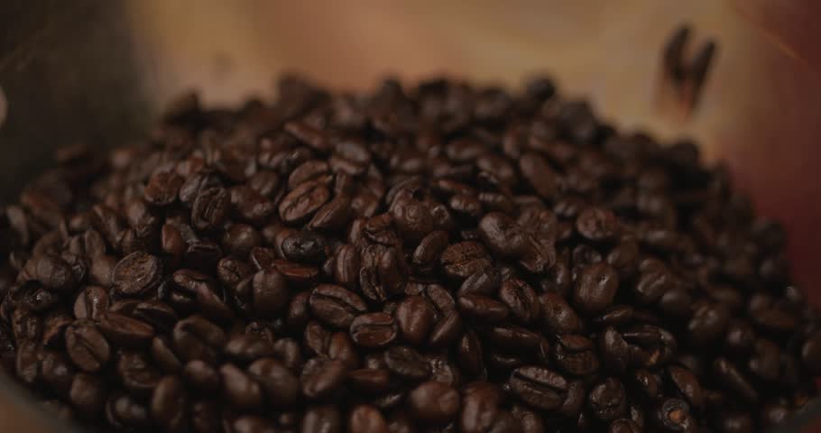 premium coffee beans