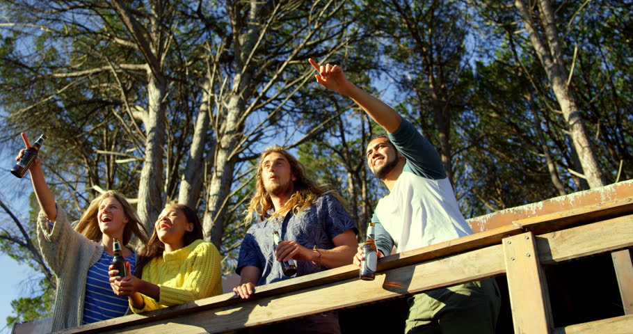 Low angle view of multi ethnic  friends having fun in cabin. Friends holding beer bottle