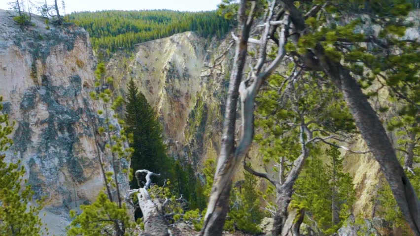 A smooth walk looking down into Yellowstone Canyon on a beautiful sunny day.