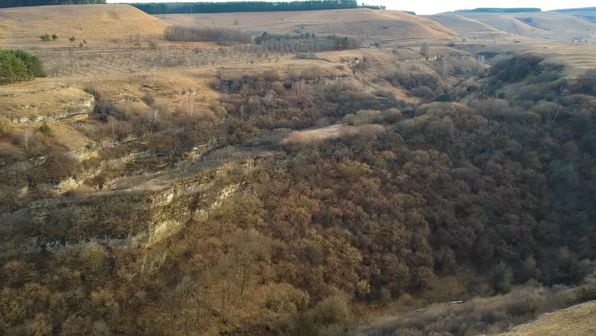 flight over the forest 