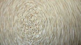 The kernels of sunflower seeds revolve in the frame. Very abstract and beautiful video HD