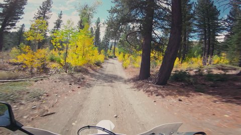 Motorcycle races through golden forest trail pov beautiful action