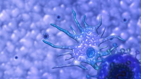3D animation of a dendritic cell eating a virus. Macrophage cell in action. Phagocytosis animation showing the ingestion of a virus by phagocyte. Phagocytosis of a virus by an immune cell