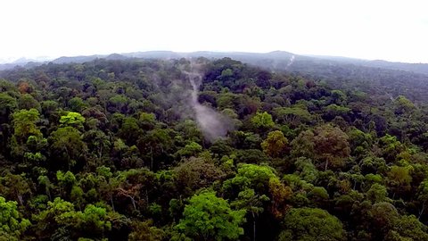 Flying over the rain-forest. Shooting from the air over the tropics. Equatorial Guinea.  / Fog over the tropical forest. Flying over the African jungle