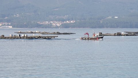 Mussel boat sailing between mussel platforms called bateas. Marine landscape. Rias Baixas, Galicia, Spain