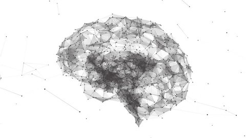 Artificial Intelligence Neural Network - Net shaped brain on white background 4K seamless loop