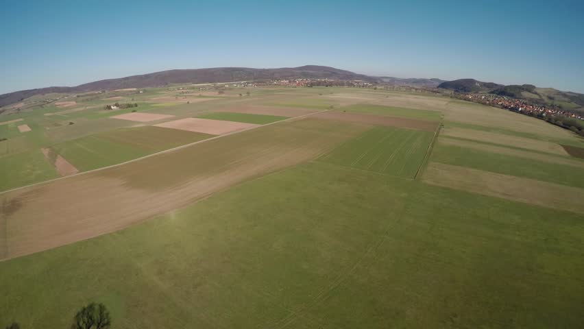 Old oak and landscape in Germany