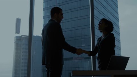 Confident Businesswoman and Businessman Talking and Negotiating in the Office, Developing Business Solution, Coming to Agreement on a Contract and Shaking Hands. 