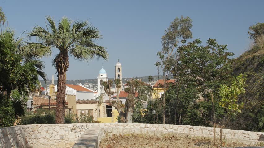 Palm tree and The Orthodox Cathedral in the background, Chania, Crete, Greek Islands, Greece, Europe