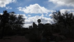 Panoramic motion control time-lapse of cactus patch in desert.  This video shows clouds passing over on a windy day.