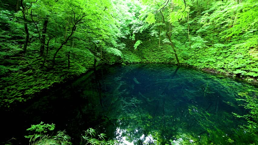 Aoike and tender greenery | Shutterstock HD Video #1024906196