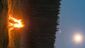 Vertical video. Bonfire flares up in the field against the backdrop of the forest. Time Lapse