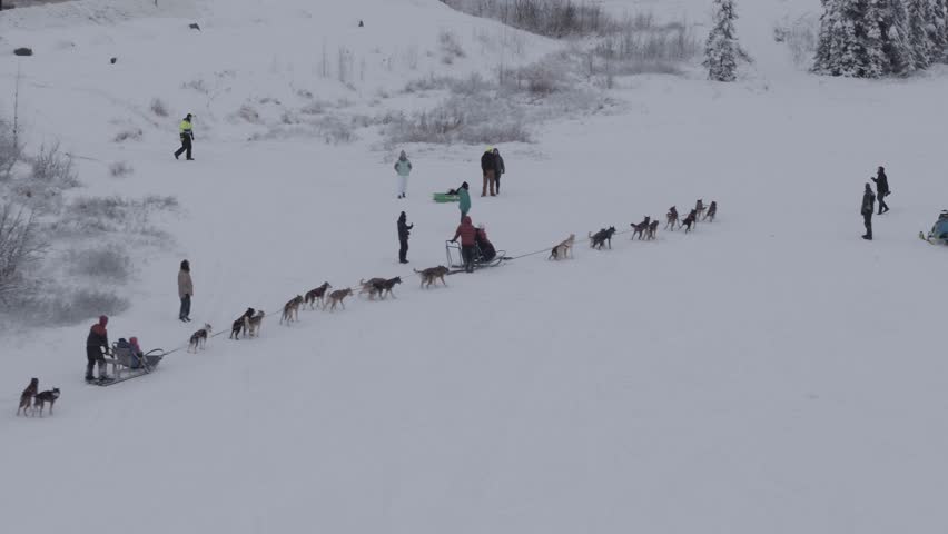 Anchorage dog sled teams preparing on cold winter day, slow motion aerial pan