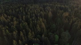 Drone near Alps over Forest