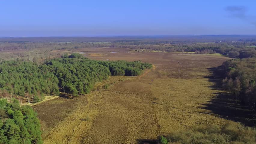 New Forest National Park in England from above