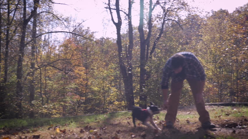 Handsome happy smiling man playing tug of war with his pet Boston Terrier dog outside in a park with leaves on the grass in slow motion with lens flair and sun glare