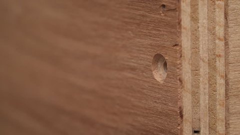 A close-up of a bolt screwing into plywood boards with electric screwdriver