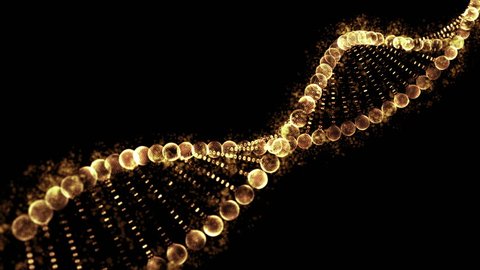 4k Golden DNA molecule structure.Science concept and colour background