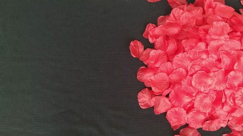 petalas of red roses with black background top view