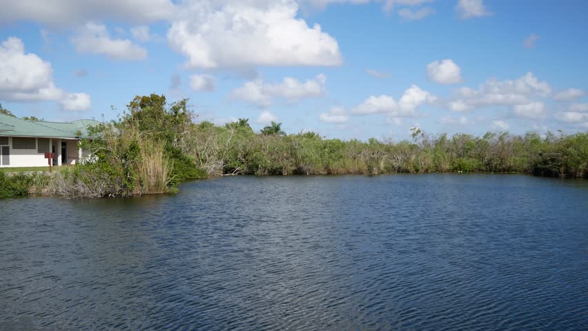 The water along the Anhinga Trail in Everglades National Park (Florida)
