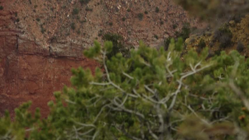 A slow tilt up from the depth of the Grand Canyon up to the clouds. Taken on a moderately cloudy day in Arizona.