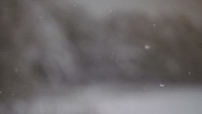 Snowflakes. Snowflakes are falling. Slow motion video 25 frames