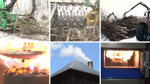 Special equipment crush tree branches for biofuel. Burning wood granules in boiler. Smoke rise from chimney. Montage of video clips collage. Split screen. White angular frame. Full HD 1080p.