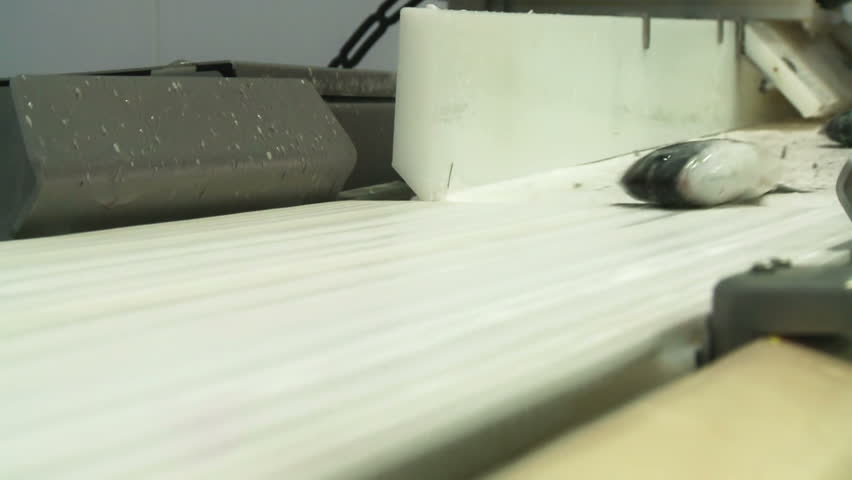 Asian seabass hatchery rearing