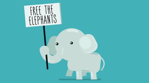 Walk cycle of a baby elephant protesting with a sign, 2D animation made in 4K, loopable clip with alpha channel Video de stock