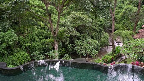 Great outdoor swimming pool with smooth edge on the green jungle background in Ubud on Bali. Its bottom is tiled with mosaic. There are red flowers and muddy river on the right side. Video recording.