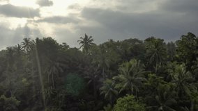 Breathtaking green jungle on the background of cloudy sky with sunlight which breaking through the clouds. There are buildings on the fields between trees. Aerial video recording with forward motion.
